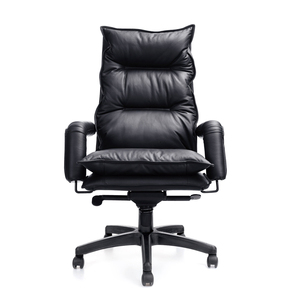 102A-YJ||塑脚转椅|办公椅|班椅|老板椅|经理椅|椅子